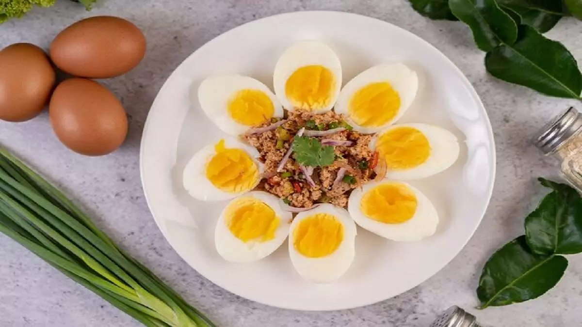 Health Tips: जाने क्या कहते है एक्सपर्ट गर्मियों में अंडा खाना चाहिए या नहीं