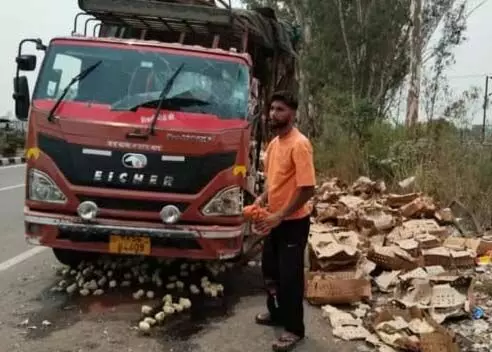 National Highway पर मुर्गी के चूजों से भरे ट्रक को बस ने मारी जबरदस्त टक्कर