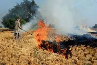 Chandigarh: फसल अवशेष प्रबंधन के लिए 500 करोड़ रुपये की कार्य योजना तैयार की