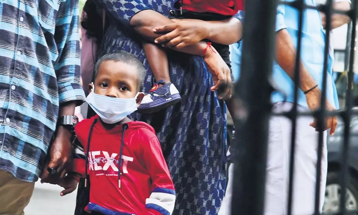Kerala News: मानसून के तेज होने से एर्नाकुलम में डेंगू का प्रकोप बढ़ा