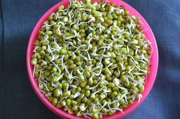 Moong Dal Sprouts Benefits: मूंग दाल स्प्राउट्स खाने के फायदे