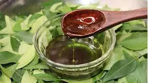 Coconut oil and curry leaves: जानिए करी पत्ता और नारियल तेल बालों के लिए कैसे है फायदे
