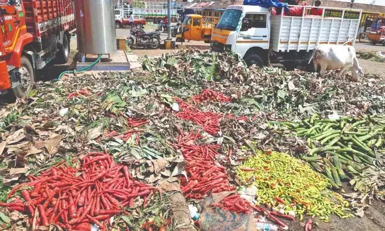 CHENNAI: आज चेन्नई के कोयम्बेडु बाज़ार में सब्जियों के दाम देखें