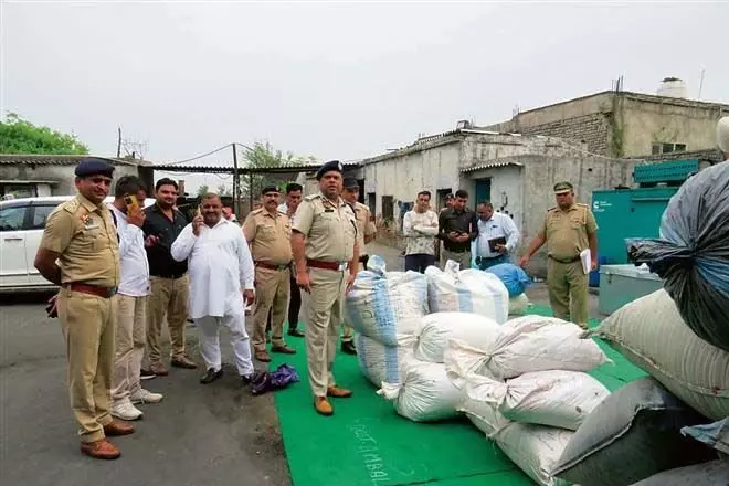 Panchkula: अंबाला पुलिस ने 139 मामलों में जब्त 15 करोड़ रुपये से अधिक की नशीली दवाएं नष्ट कीं