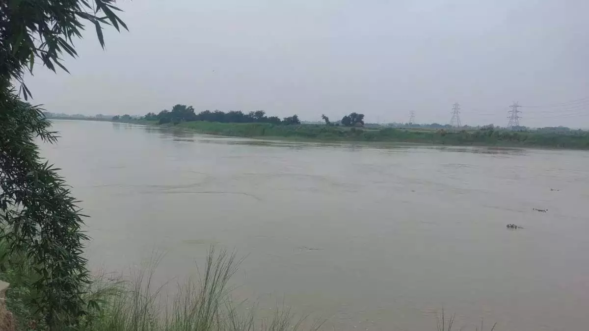 increased in Bihar: बिहार में बागमती नदियों का जलस्तर बढ़ा बाढ़ की चेतावनी