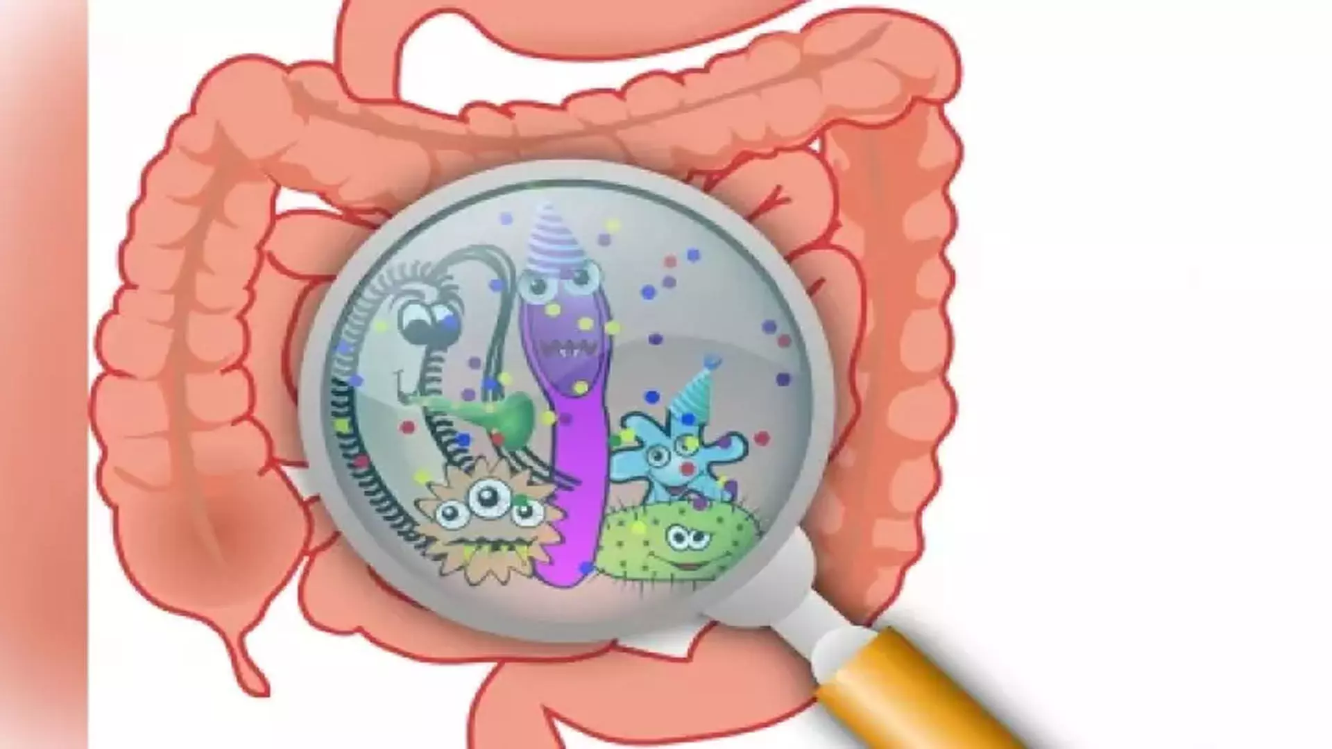 Science: गलत भोजन, मोटापे के लिए आंत के बैक्टीरिया ज़िम्मेदार