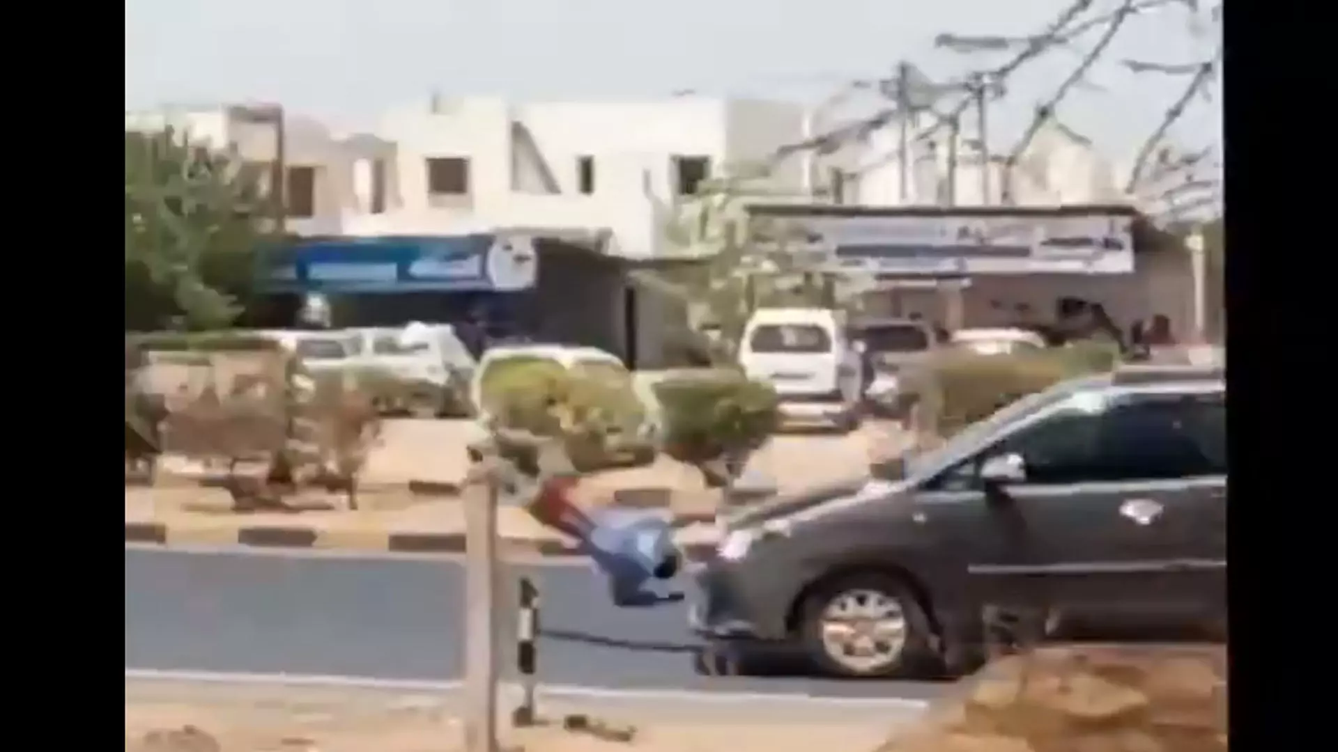 Viral video: महिला को लूटकर भाग रहा था चोर, रफ्तार कार ने कुचला, देखें वीडियो...