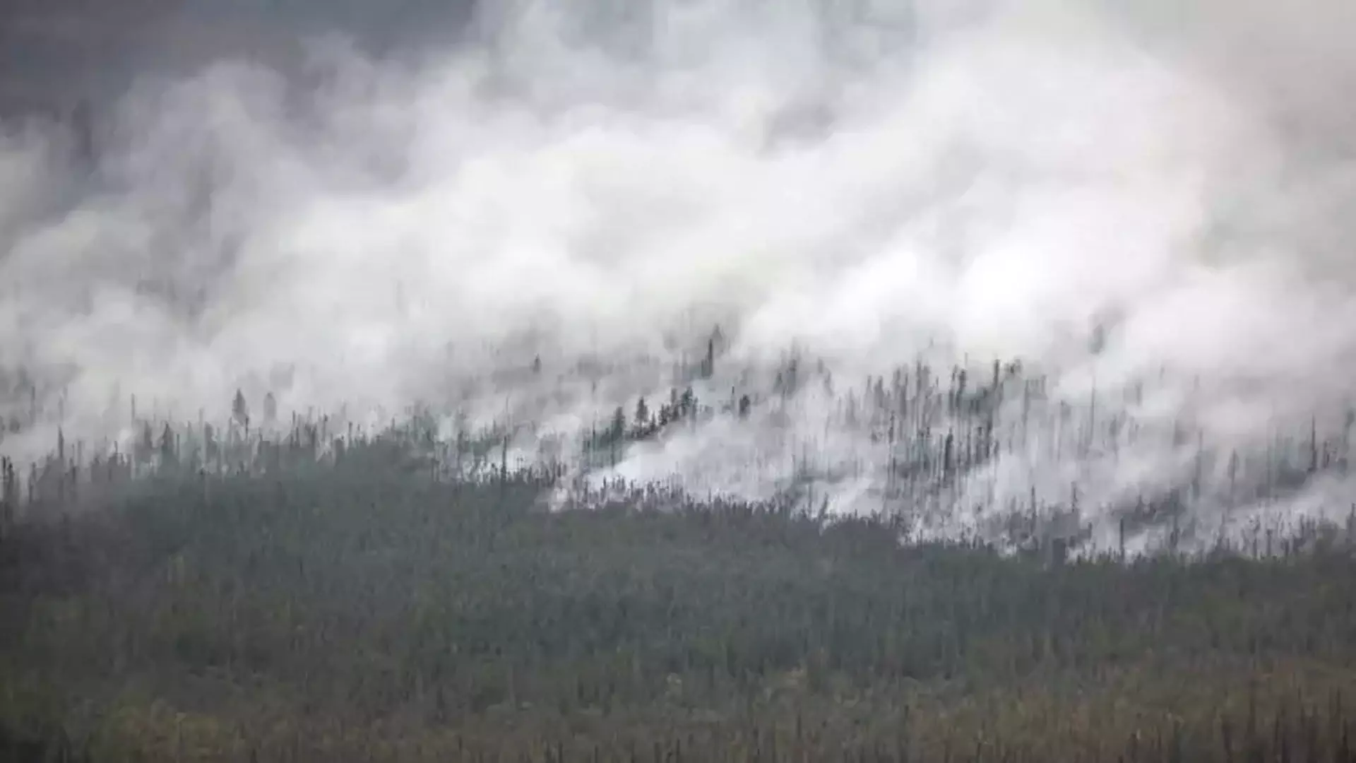 Canada: 2023 के जंगल की आग ने जंगल के बड़े हिस्से को जला दिया
