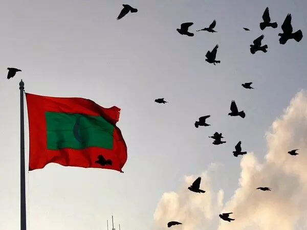 Maldives मंत्री को राष्ट्रपति मुइज़्ज़ू पर काला जादू करने के आरोप में गिरफ़्तार किया गया, निलंबित किया गया: रिपोर्ट