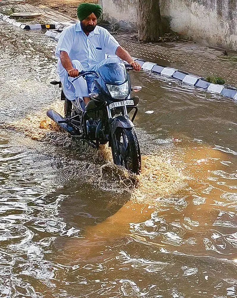 Punjab : बारिश के बाद पंजाब में बिजली की मांग में गिरावट