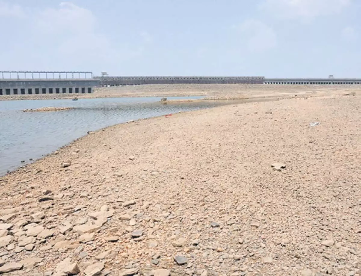 CWRC: जुलाई के मानसून से कावेरी बेसिन में पानी की कमी दूर हो सकती