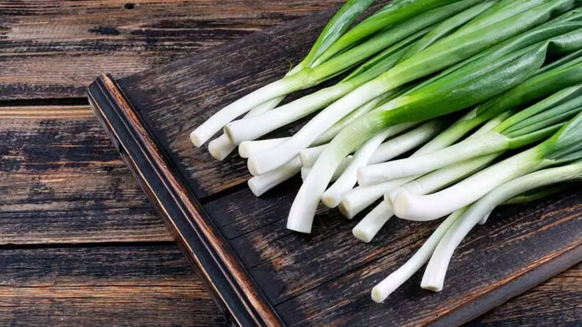 Onion leaves: प्याज के पत्ते बनाएंगे आपके बालों को चमकदार और जड़ों से मजबूत जानें