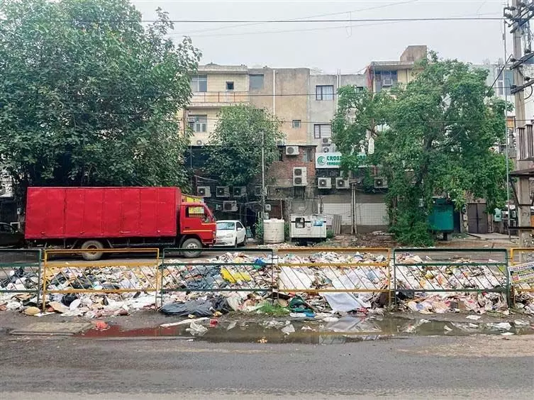Mohali News: मोहाली में कचरे के ढेर से बदबू फैल रही