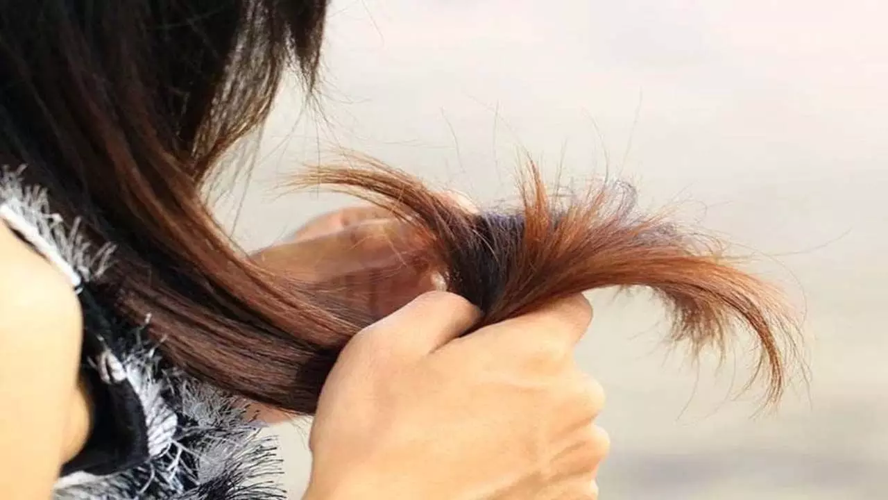 Ayurveda: आयुर्वेद की मदद से मिलेगा बालों को पोषण रिपेयर करें अपने डैमेज बाल
