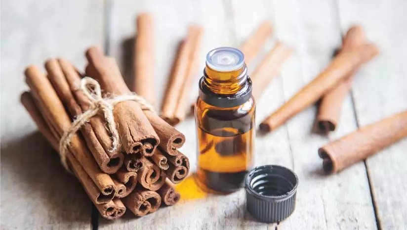 Cinnamon oil: बालों की कई समस्यों का हल हैं दालचीनी का तेल जानें