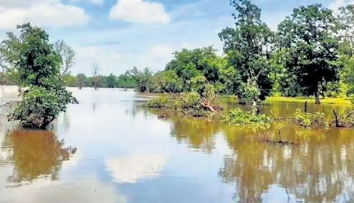 Odisha News: जल निकायों के पुनरुद्धार प्रयासों में ओडिशा शीर्ष सात राज्यों में शामिल