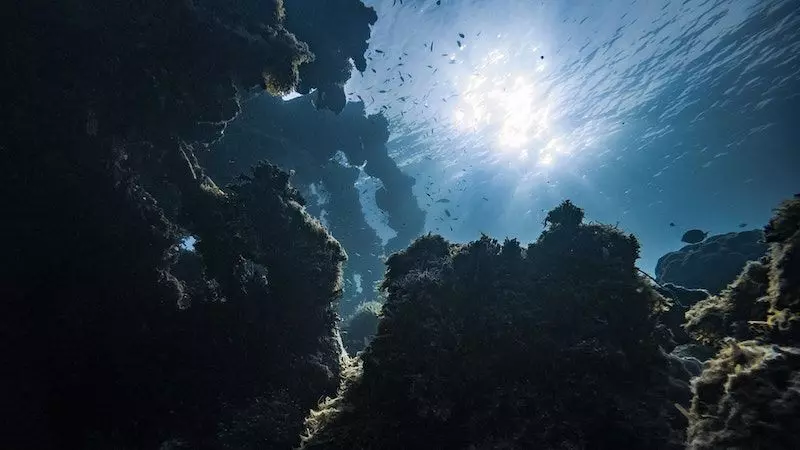 Science : वैज्ञानिकों ने बनाई कार्बन को समुद्र की तलहटी तक पहुंचाने की क्रांतिकारी योजना