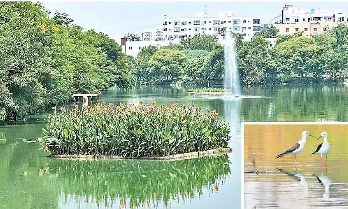 Telangana News: नेकनामपुर झील को जीर्णोद्धार के लिए प्रशंसा मिली