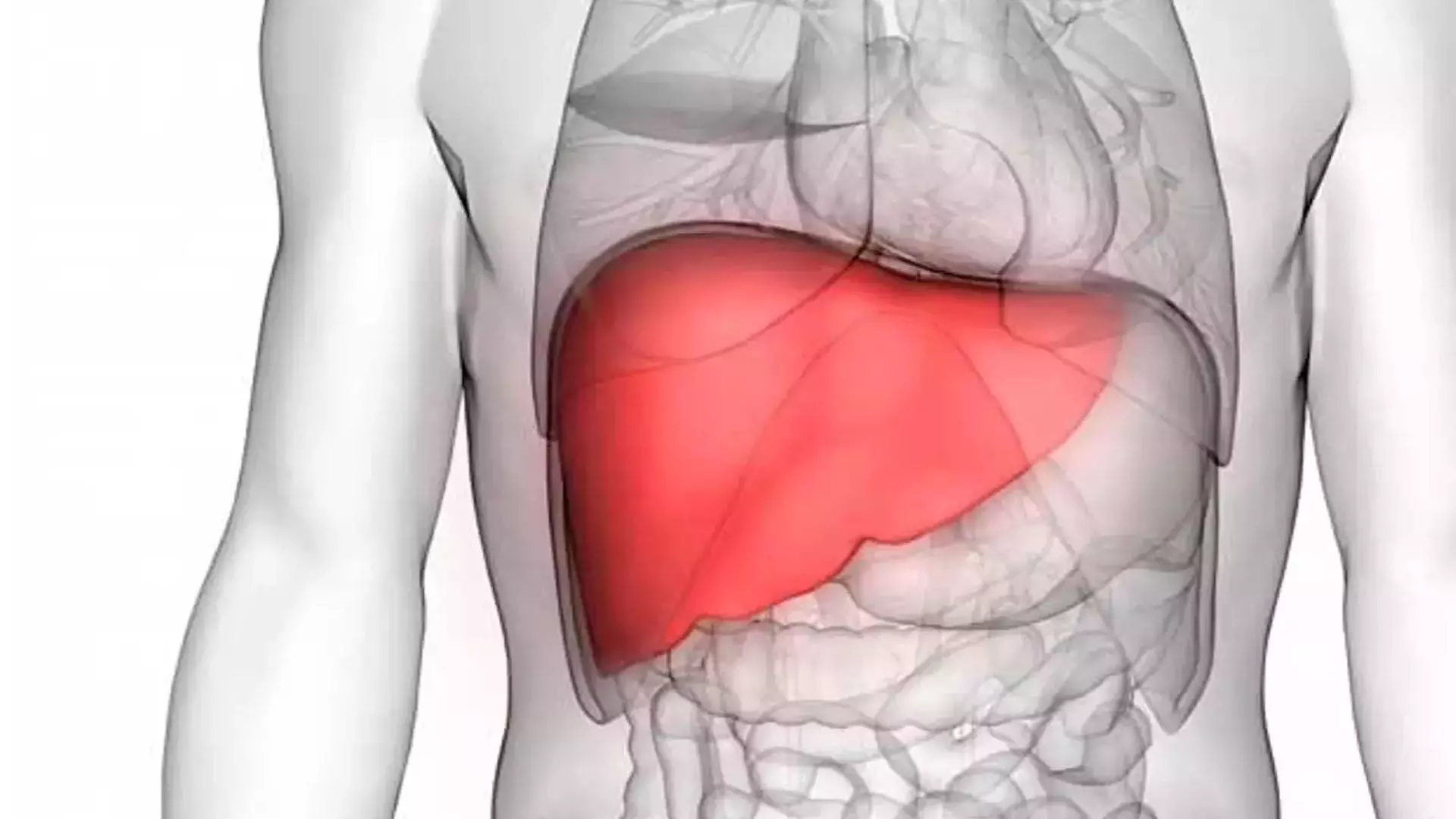Fatty Liver: इस खतरनाक समस्या का इलाज करने के तरीके