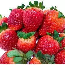 Strawberry: इस लाल फल से पाचन होगा बेहतर, हड्डियां होंगी मजबूत