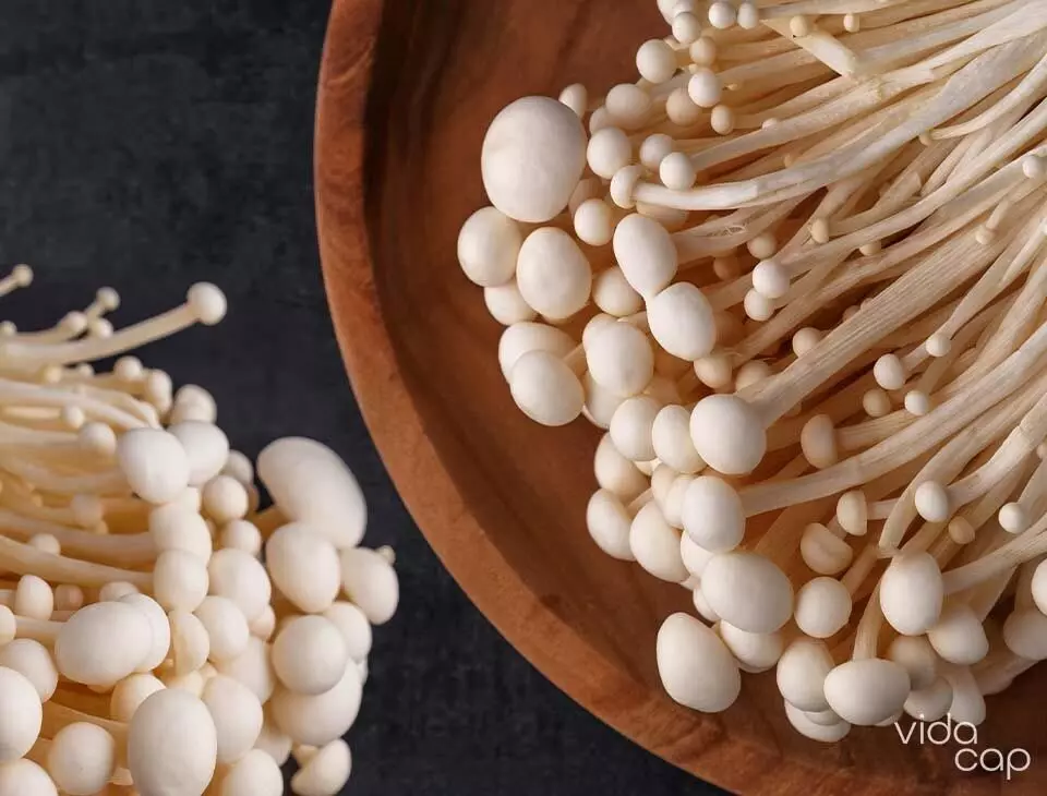 Enoki Mushrooms: एनोकी मशरूम के स्वास्थ्य लाभ जो आप नहीं जानते होंगे