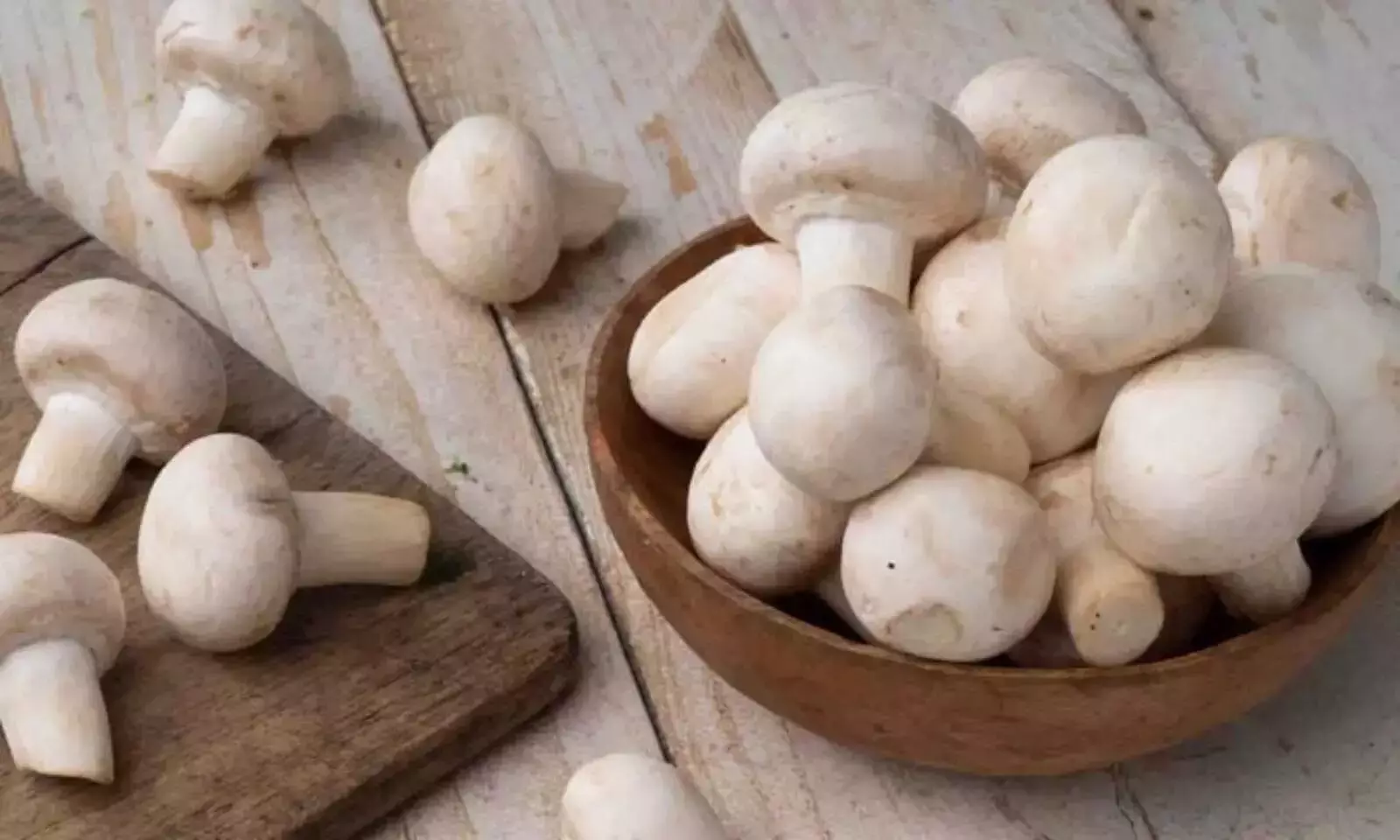 button mushroom: बटन मशरूम के 10 स्वास्थ्य लाभ सेहत रहेगी तंदरुस्त