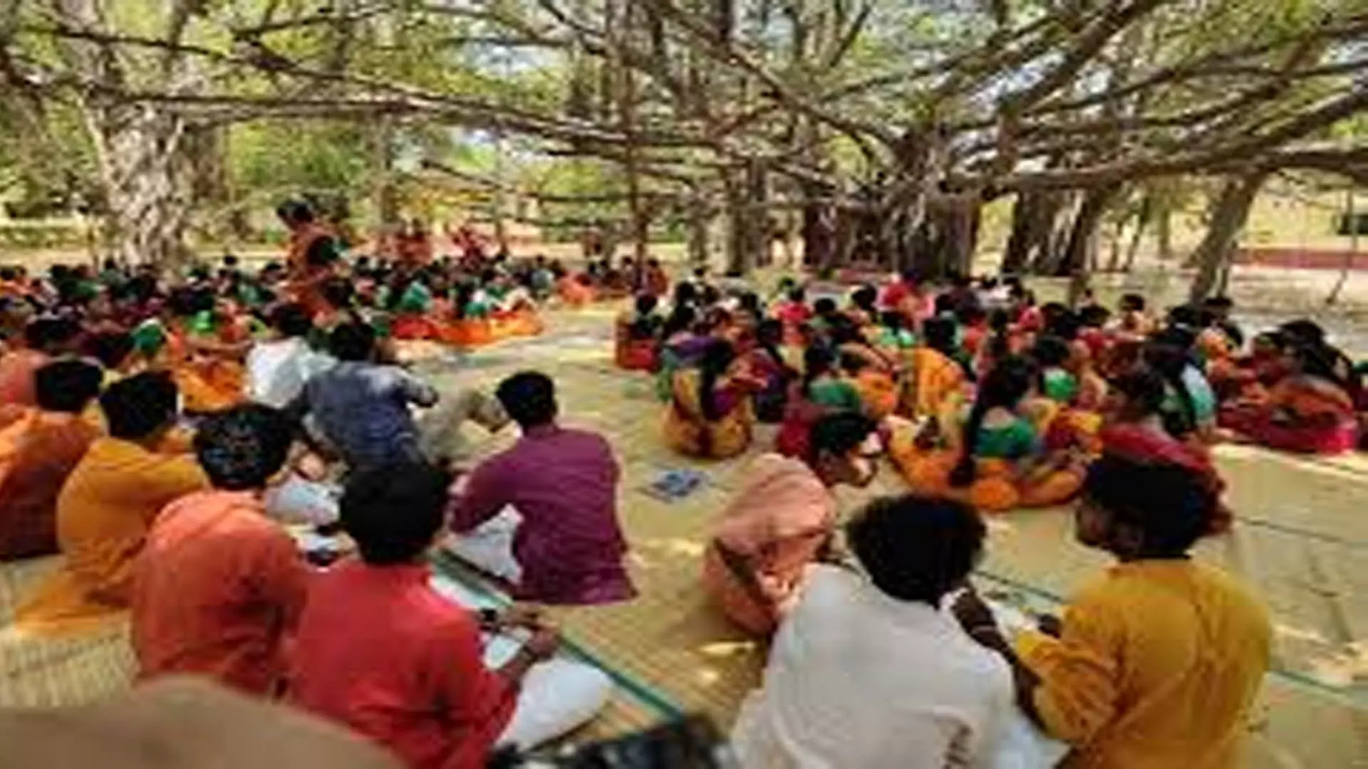 Chennai News:हाईकोर्ट ने हरि पद्मन की याचिका पर कलाक्षेत्र से जवाब मांगा