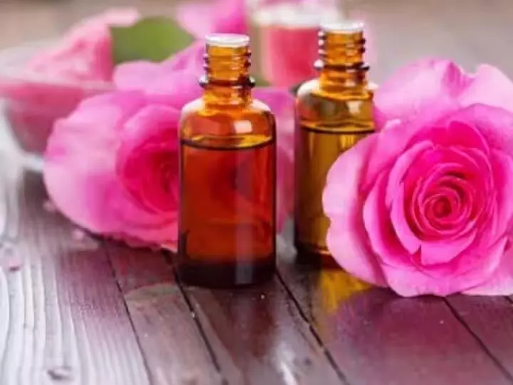 Rosehip Oil: त्वचा के लिए गुलाब के तेल के उपयोग जाने