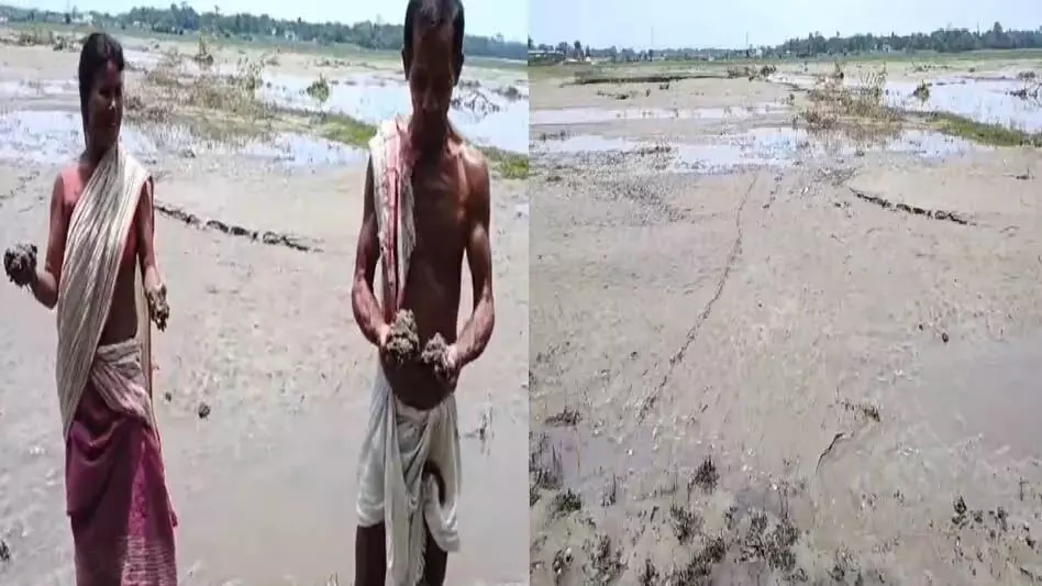 ASSAM : गोहपुर में बाढ़ से किसानों की जमीन बंजर, आजीविका खतरे में
