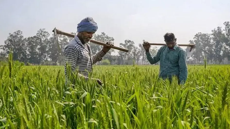 Jaipur : मुख्यमंत्री किसान सम्मान निधि योजना का 30 जून, 2024 को होगा शुभारंभ