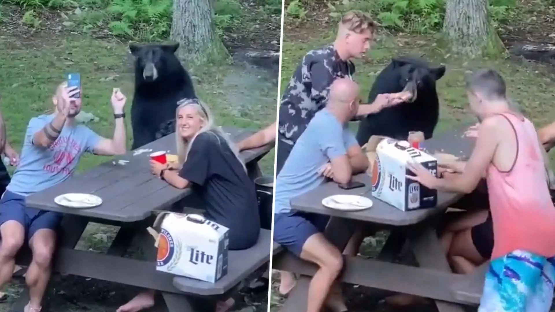 Viral Video: जंगल में पिकनिक मनाने गई फैमिली के साथ खाने का लुत्फ उठाता दिखा भालू