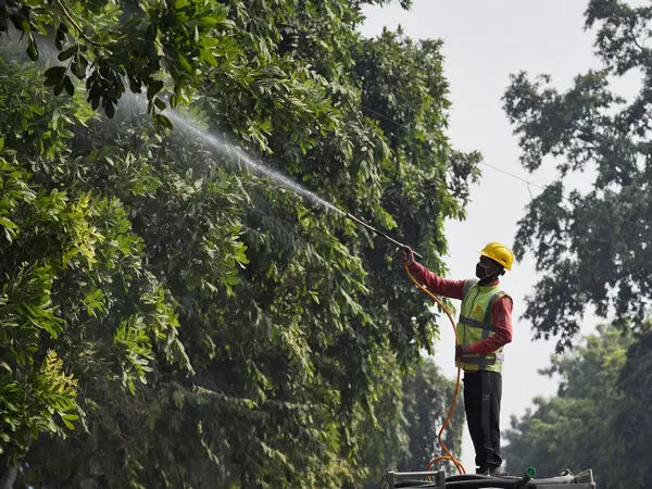 Delhi के दक्षिणी रिज में पेड़ों की अवैध कटाई की जांच के लिए तथ्यान्वेषी समिति गठित