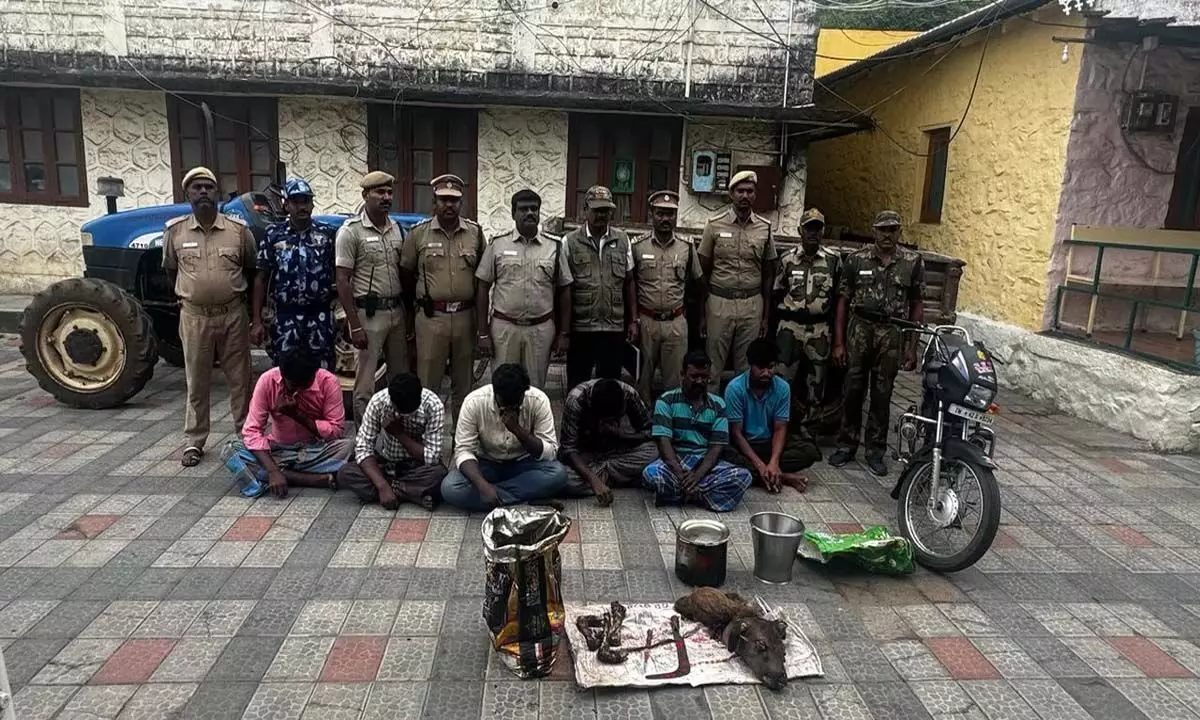 Tamil Nadu News: कोडईकनाल में हिरणों को मारने और पकाने के आरोप में छह लोग गिरफ्तार