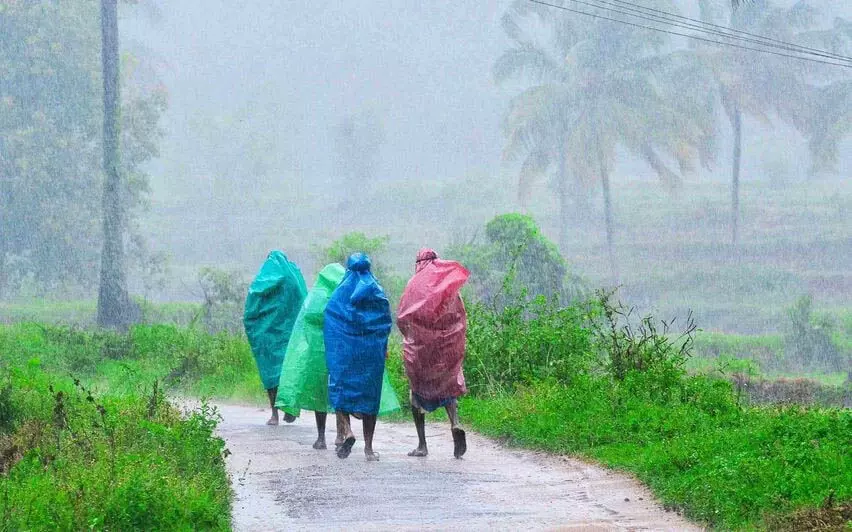 KERALA में भारी बारिश जारी रहेगी, 5 जिलों के लिए येलो अलर्ट