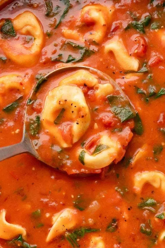 Creamy tortellini soup: घर में बनाये मौसमी सब्जियों और जड़ी-बूटियों,मांस के साथ हेल्दी स्वादिष्ट सूप रेसिपी