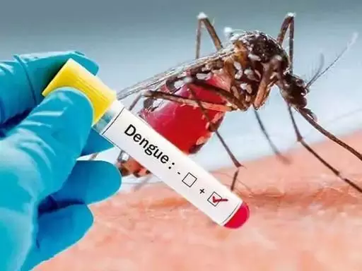 Monsoon: मानसून के कारण देश के कई हिस्सों में डेंगू का प्रकोप, डॉक्टरों ने दी सावधानी बरतने की सलाह