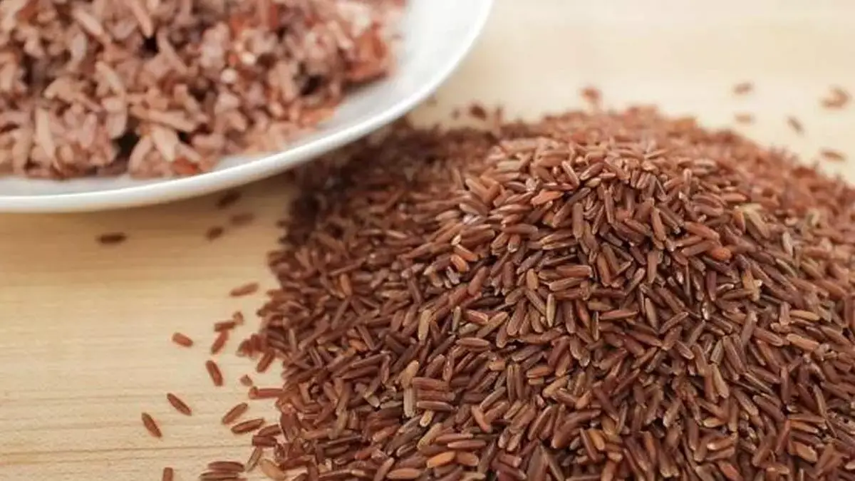 Brown rice : डायबिटीज को कंट्रोल करते हैं ब्राउन राइस