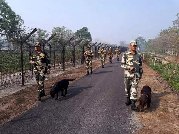 BSF ने भारत-बांग्लादेश सीमा पर मादक पदार्थ जब्त किए, बड़ी संख्या में मवेशियों के सिर बचाए