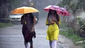 Weather: पंजाब में बारिश को लेकर जारी किए येलो अलर्ट