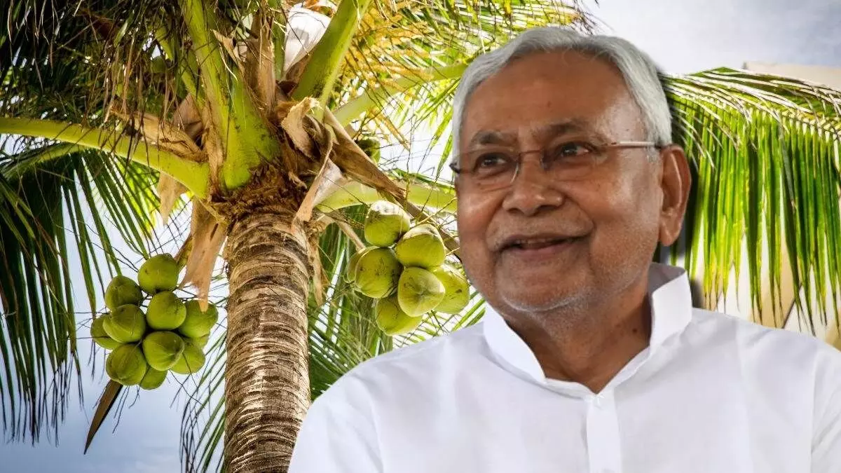 Katihar: जिले में किसानों की आमदनी बढ़ाने के लिए होगी नारियल की खेती