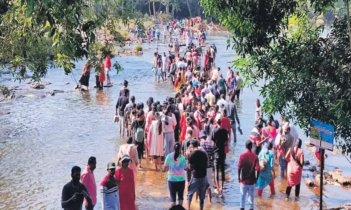 Karnataka News: कर्नाटक के दुबारे हाथी कैंप में कावेरी नदी पर हैंगिंग ब्रिज का प्रस्ताव