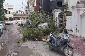 YamunaNagar : आंधी तूफान ने मचाई तबाही, पेड़ गिरने से कई गाड़ियां और मकान हुए क्षतिग्रस्त