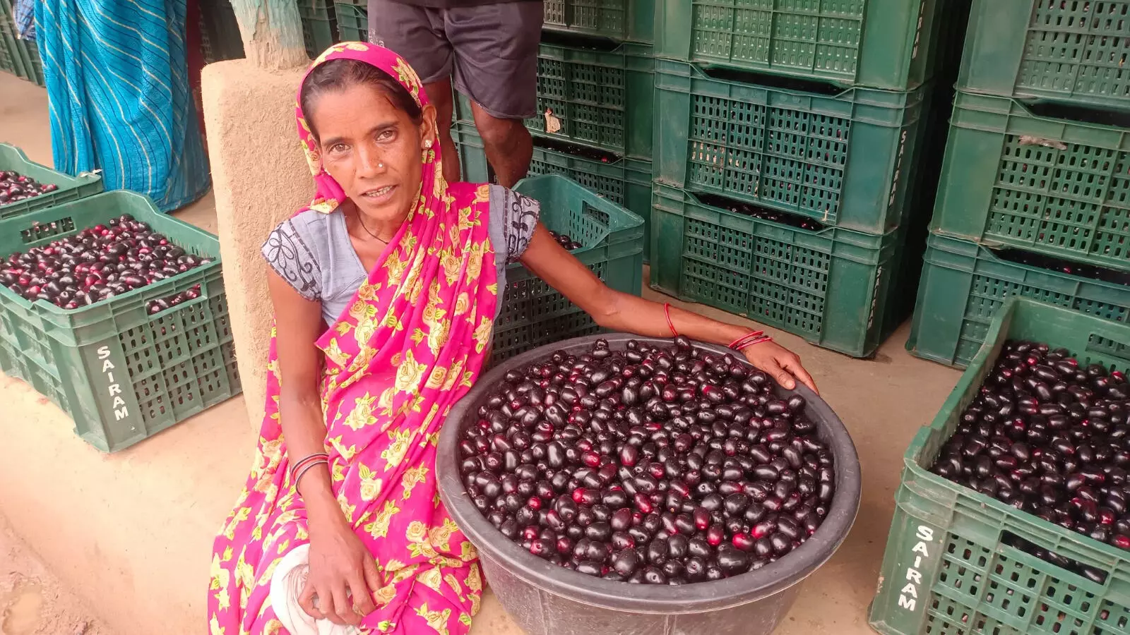 Seasonal fruit जामुन के व्यवसाय से महिलाओं को मिल रहा है आर्थिक स्वावलंबन