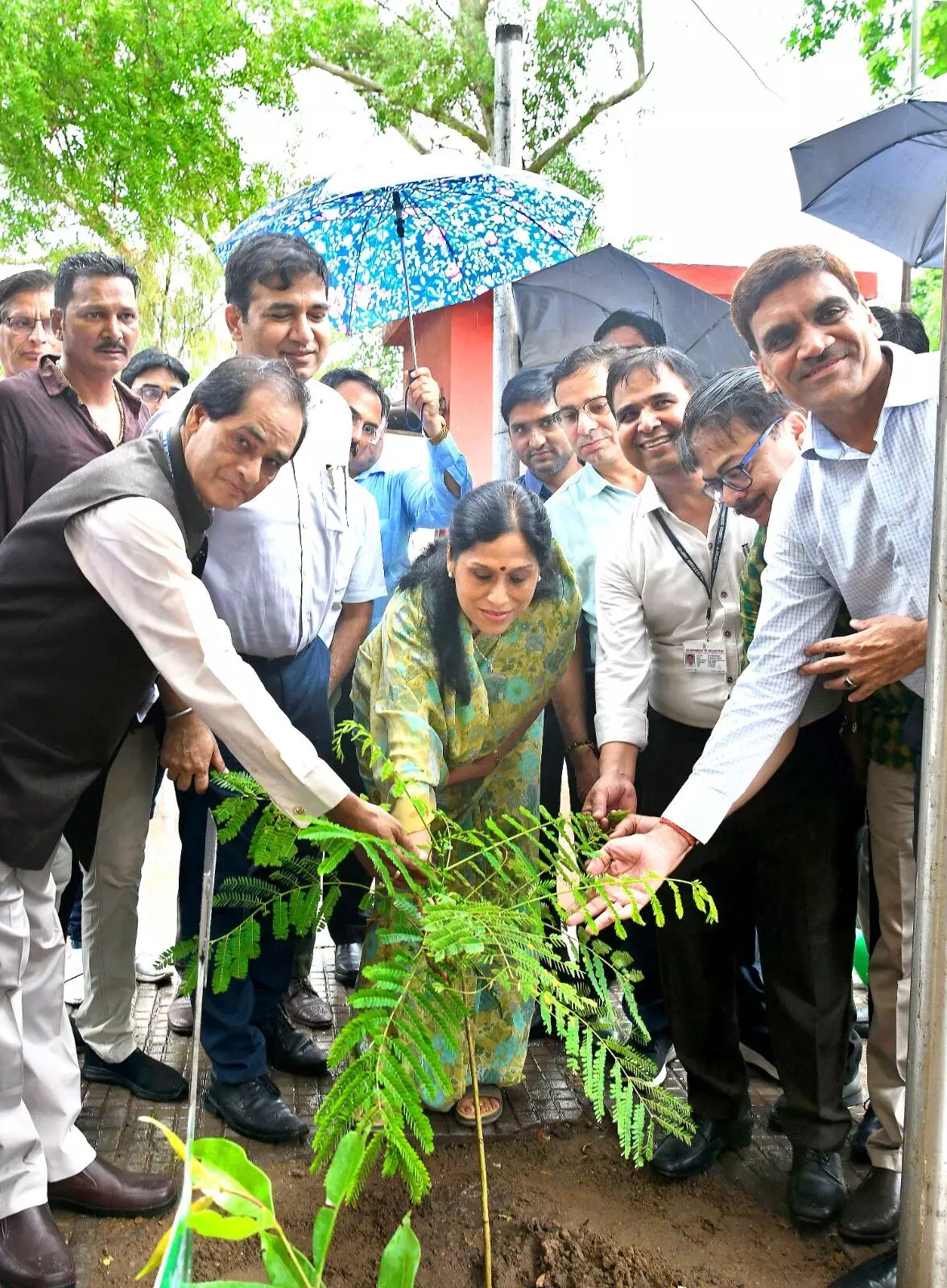 National Doctors Day वृक्षारोपणअभियान का शुभारम्भ प्रदेश के चिकित्सा संस्थानों में लगाए जाएंगे 1 लाख पौधे