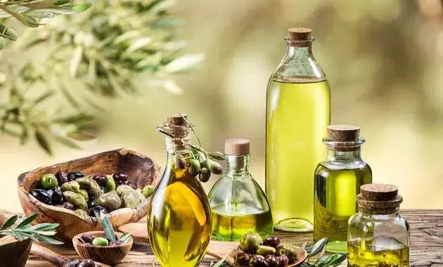 Olive Oil: बालो के लिए जैतून तेल के फायदे जाने