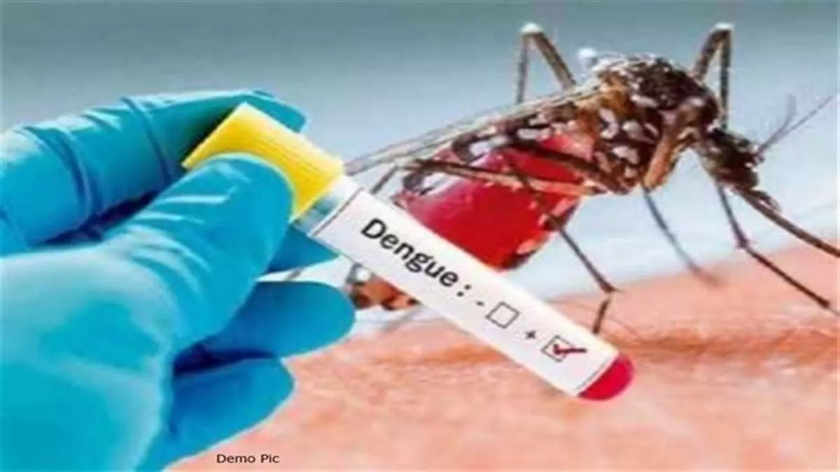 Indore में डेंगू और मलेरिया के 80 से ज्यादा मिले मरीज