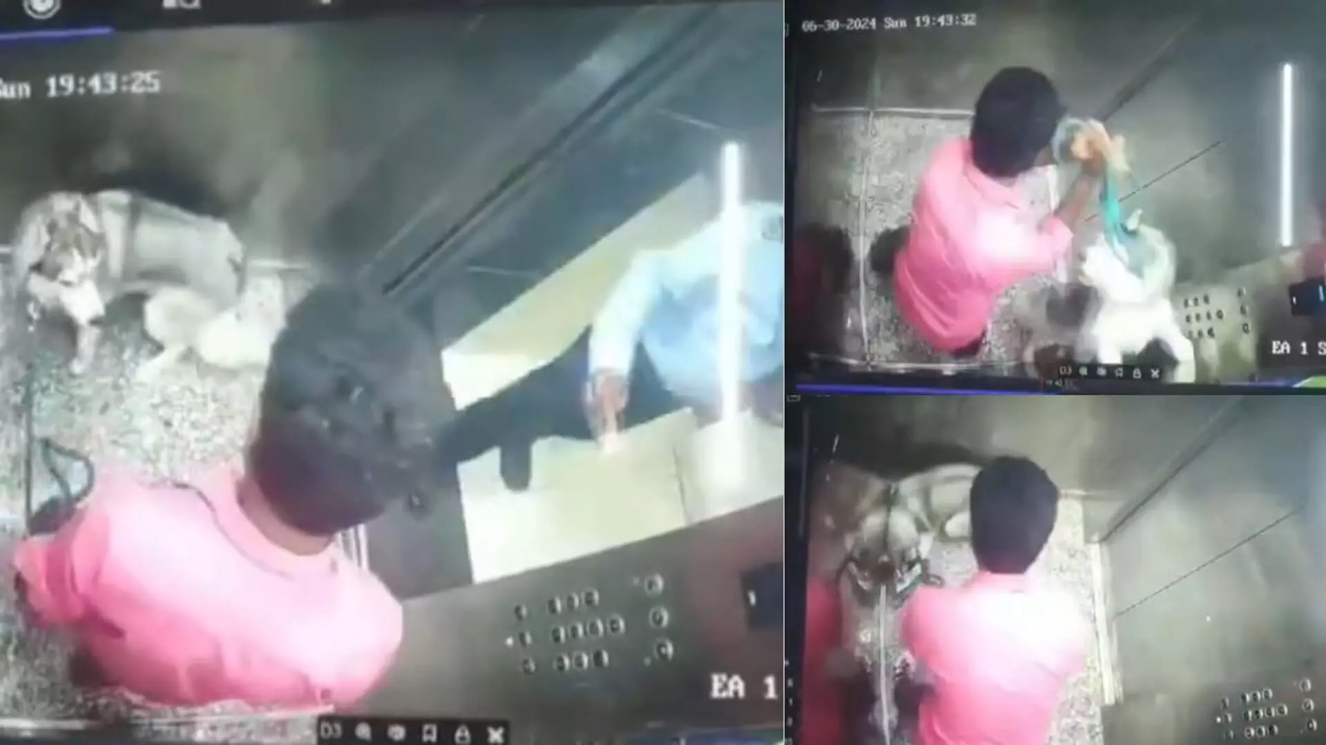 Dog walker ने अपने डॉग को लिफ्ट के अंदर पीटा, वीडियो वायरल