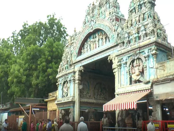 Madurai के मीनाक्षी अम्मन मंदिर में चार साल के विराम के बाद पवित्र जल अनुष्ठान फिर से शुरू
