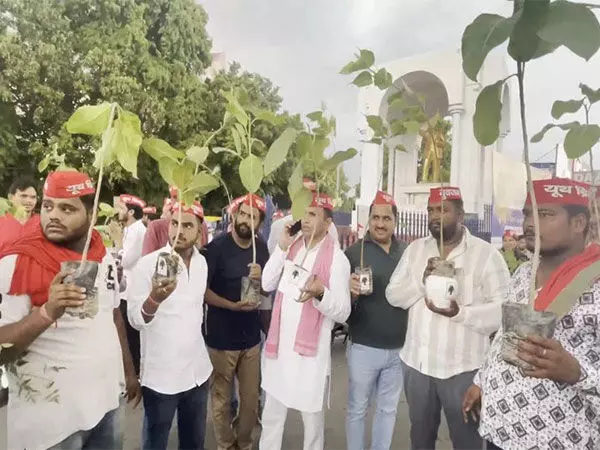 Samajwadi Party कार्यकर्ताओं ने PDA के ​​पौधे लगाकर, मनाया अखिलेश यादव का 51वां जन्मदिन