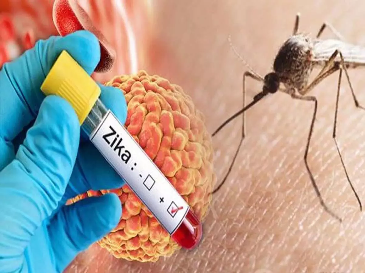 Zika virus: पुणे में फैल रहा जीका वायरस, 6 केस आए सामने